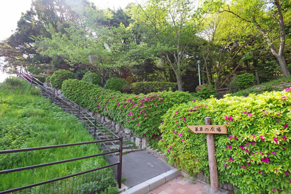 火の山公園の画像 - 2枚目