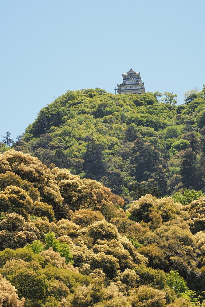 岐阜城の画像 - 3枚目