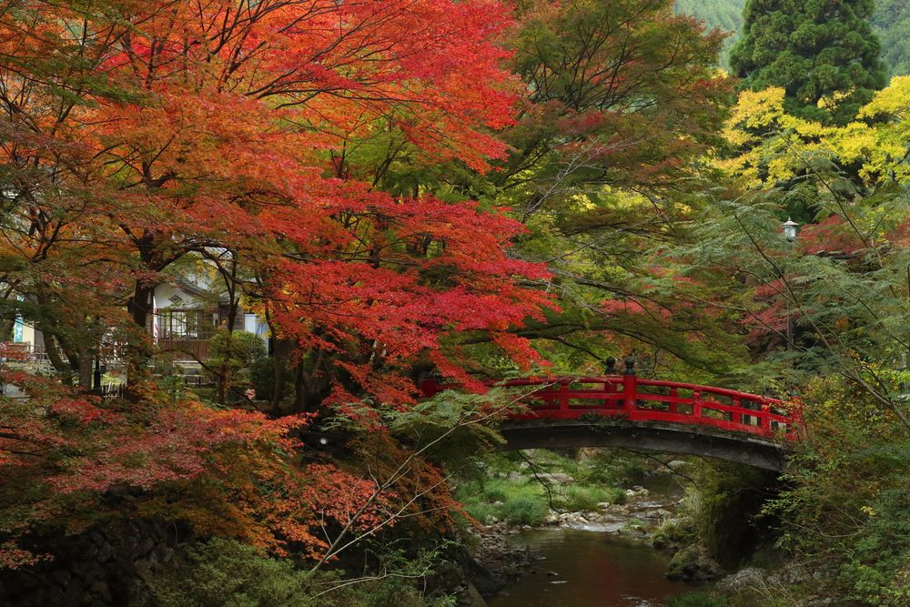 長門湯本温泉の画像 - 2枚目