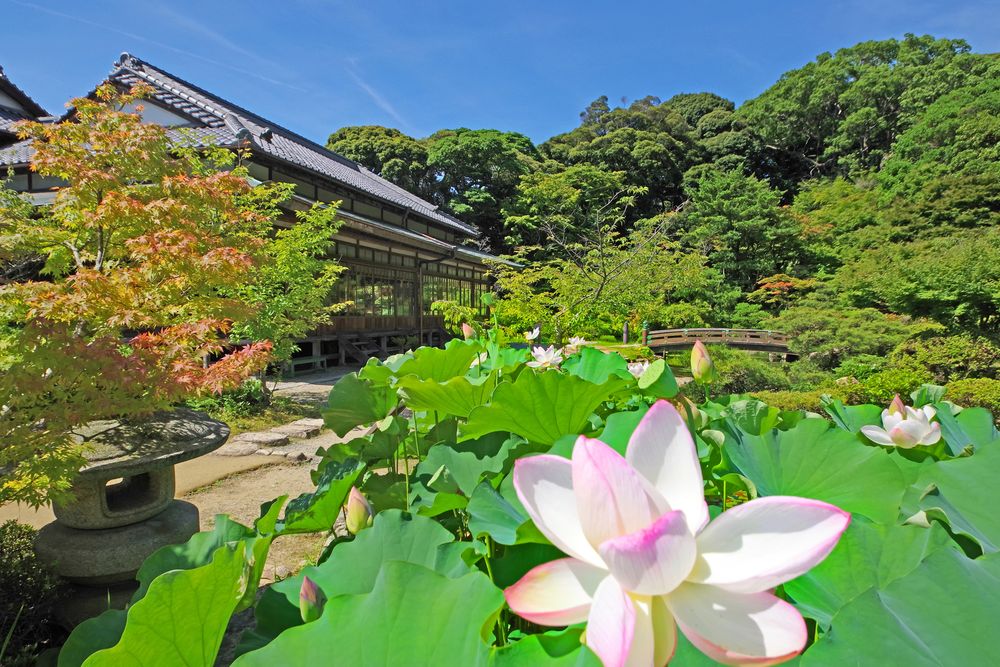 長府庭園の画像 - 3枚目