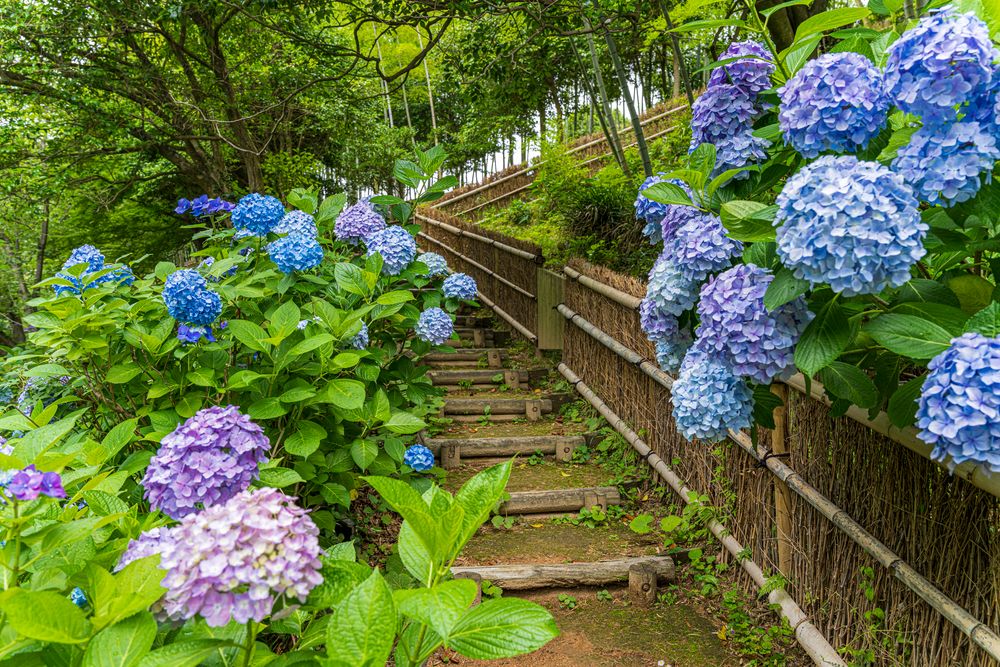 長府庭園の画像 - 5枚目
