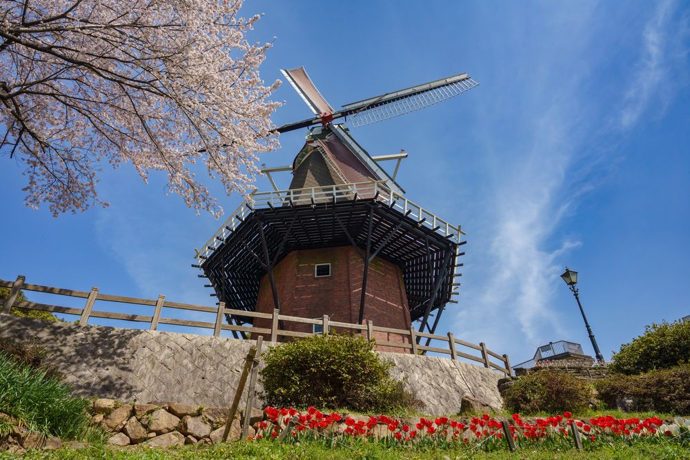 TOSOH PARK 永源山(永源山公園)】の周辺スポット・アクセス・口コミ