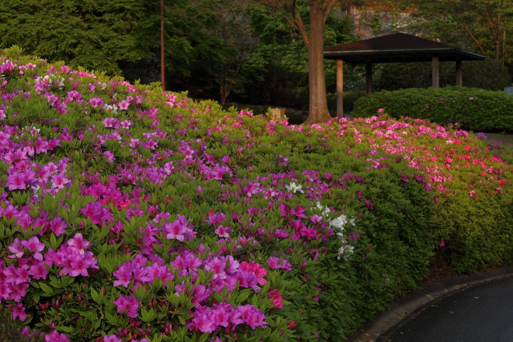 TOSOH PARK 永源山(永源山公園)の画像 - 5枚目