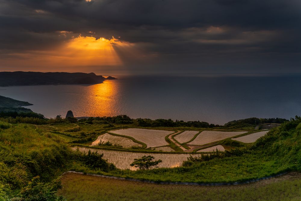 東後畑棚田の画像 - 2枚目