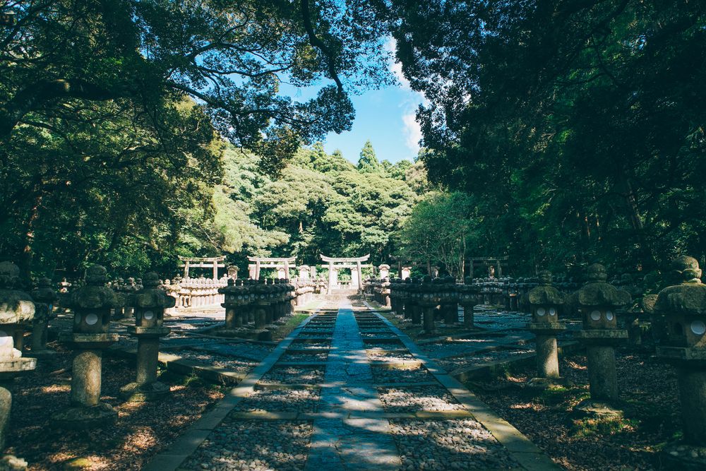 東光寺の画像 - 4枚目