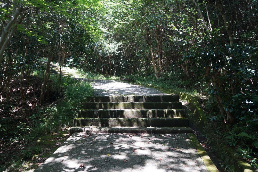 青海島自然研究路の画像 - 2枚目