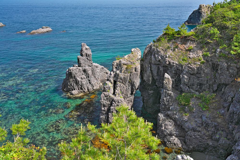 青海島自然研究路の画像 - 4枚目
