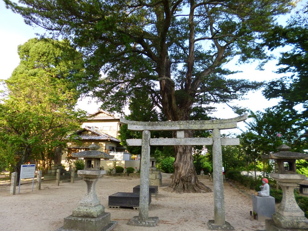 周防国分寺の画像 - 2枚目