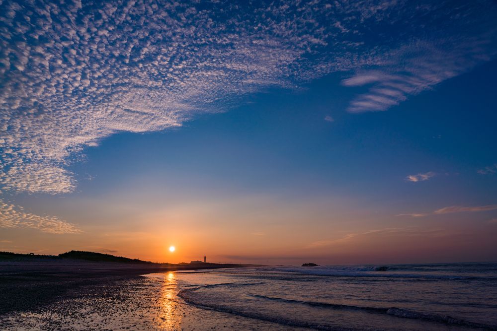 中田島砂丘 の画像 - 4枚目