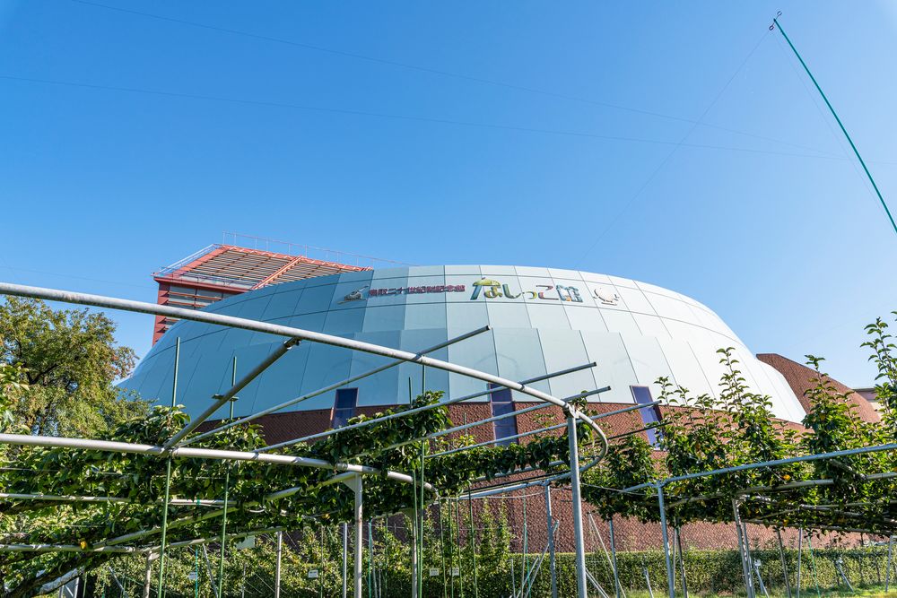 鳥取二十世紀梨記念館 なしっこ館】の周辺スポット・アクセス・口コミ