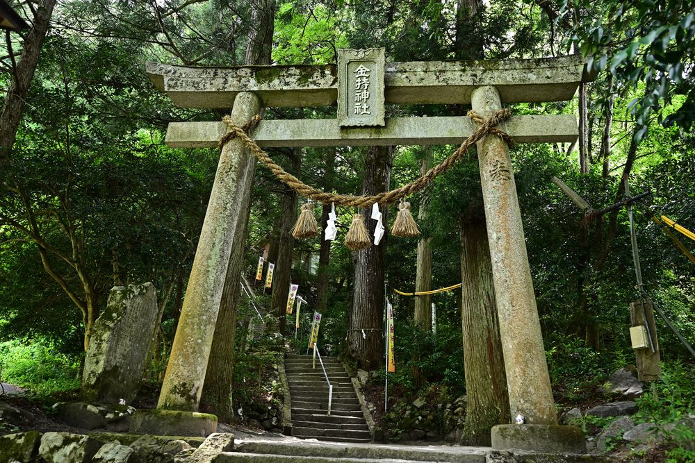 金持神社