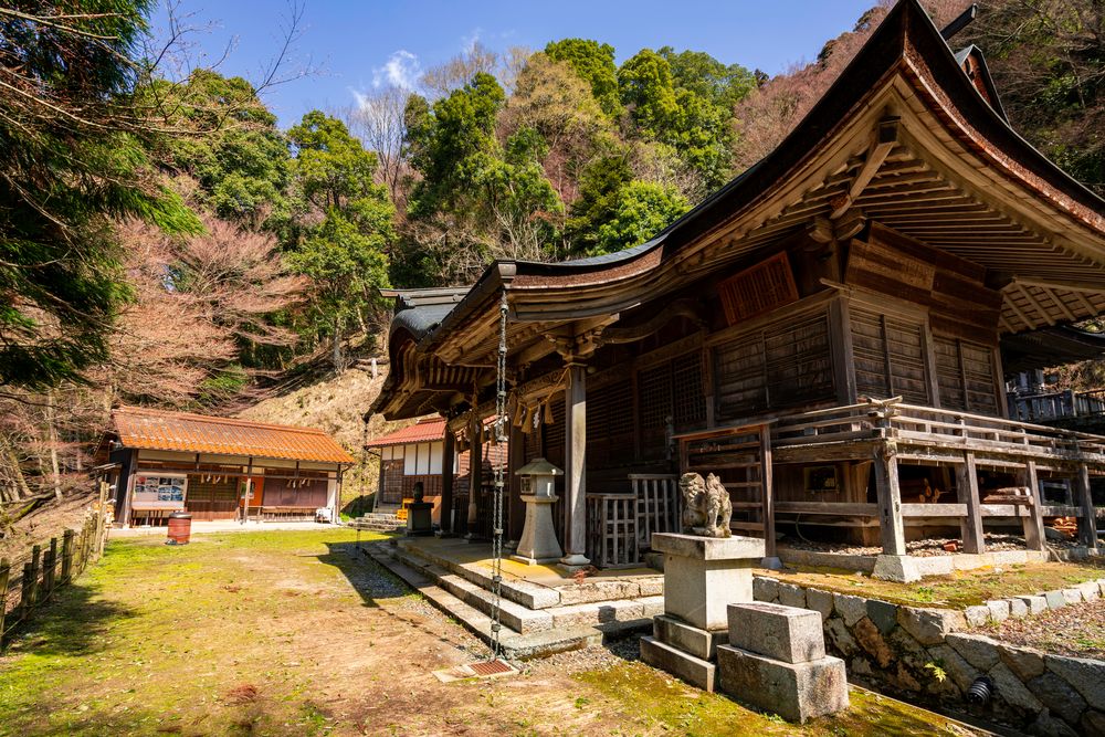 諏訪神社の画像 - 5枚目