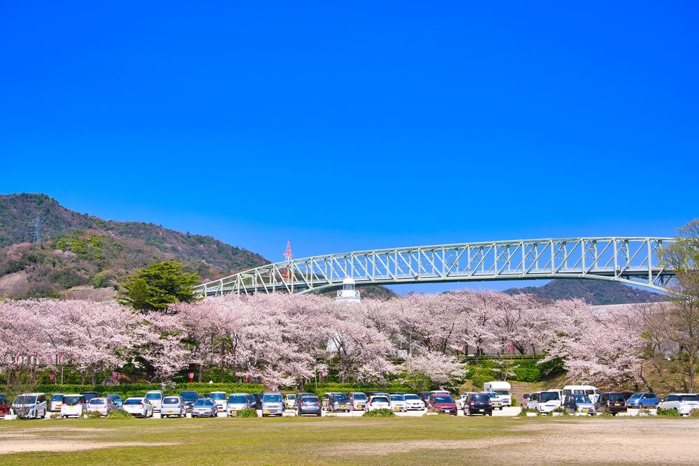 境水道大橋の画像 - 3枚目