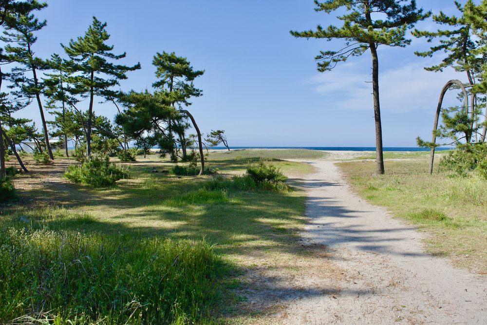 弓ヶ浜海岸の画像 - 2枚目