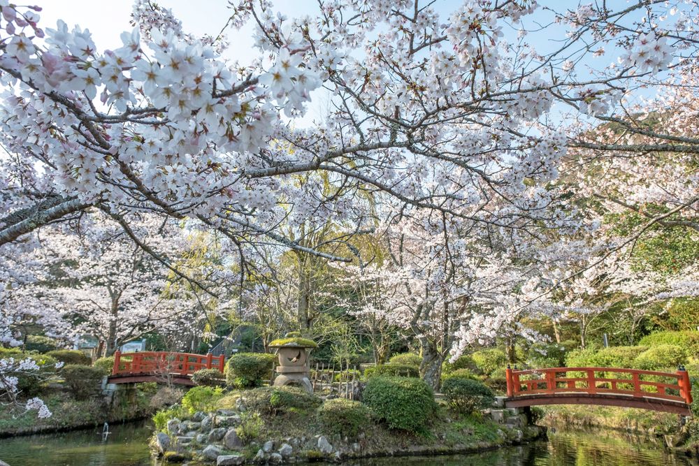 打吹公園の画像 - 3枚目