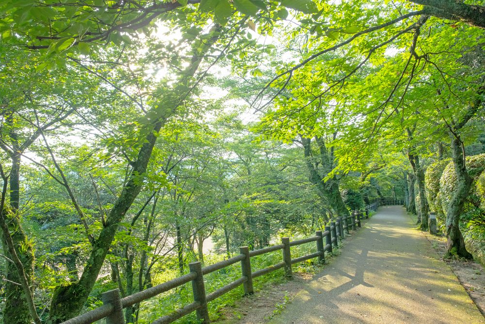 打吹公園の画像 - 4枚目