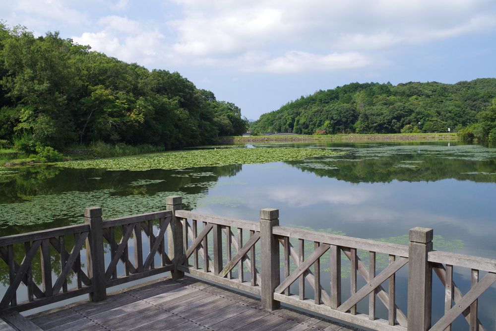 荒神谷遺跡の画像 - 4枚目