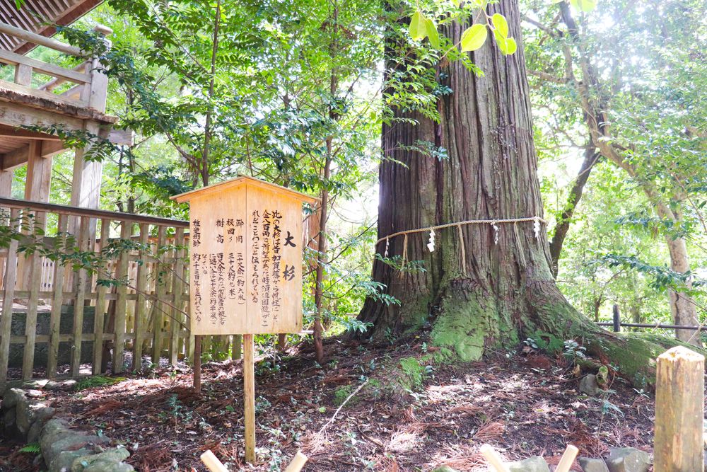 須佐神社の画像 - 2枚目