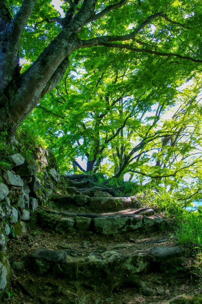 津和野城跡の画像 - 3枚目