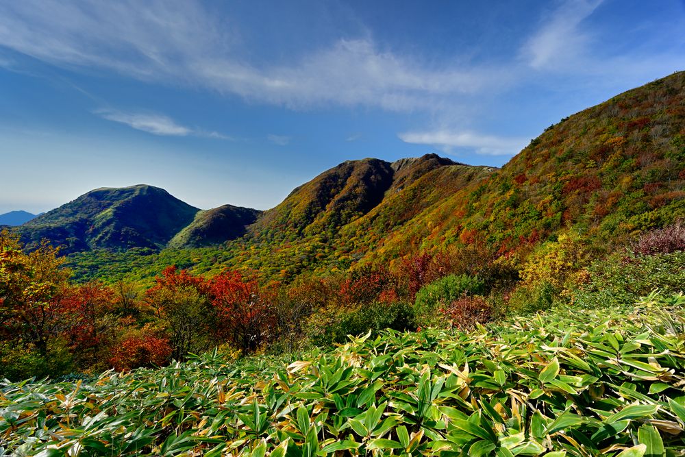 三瓶山の画像 - 4枚目