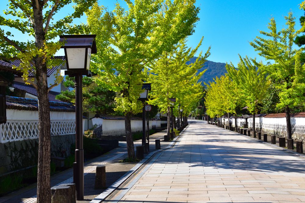 殿町掘割の画像 - 3枚目