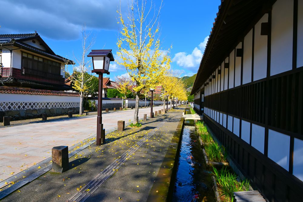 殿町掘割の画像 - 4枚目