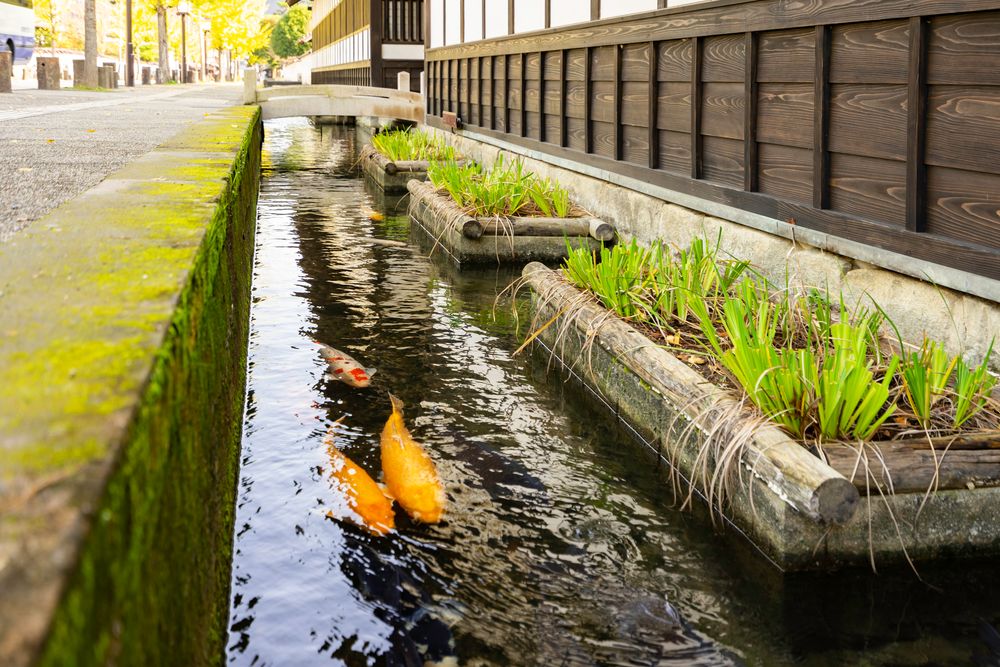 殿町掘割の画像 - 5枚目