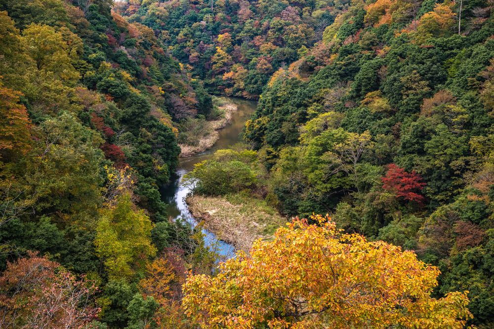 鬼の舌震の画像 - 3枚目