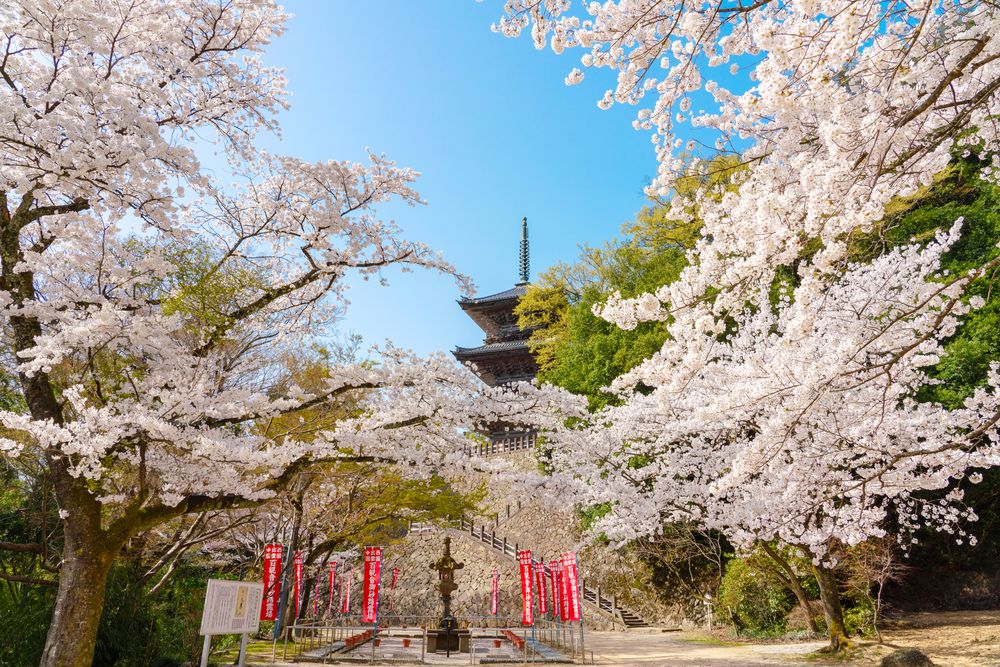 清水寺の画像 - 2枚目