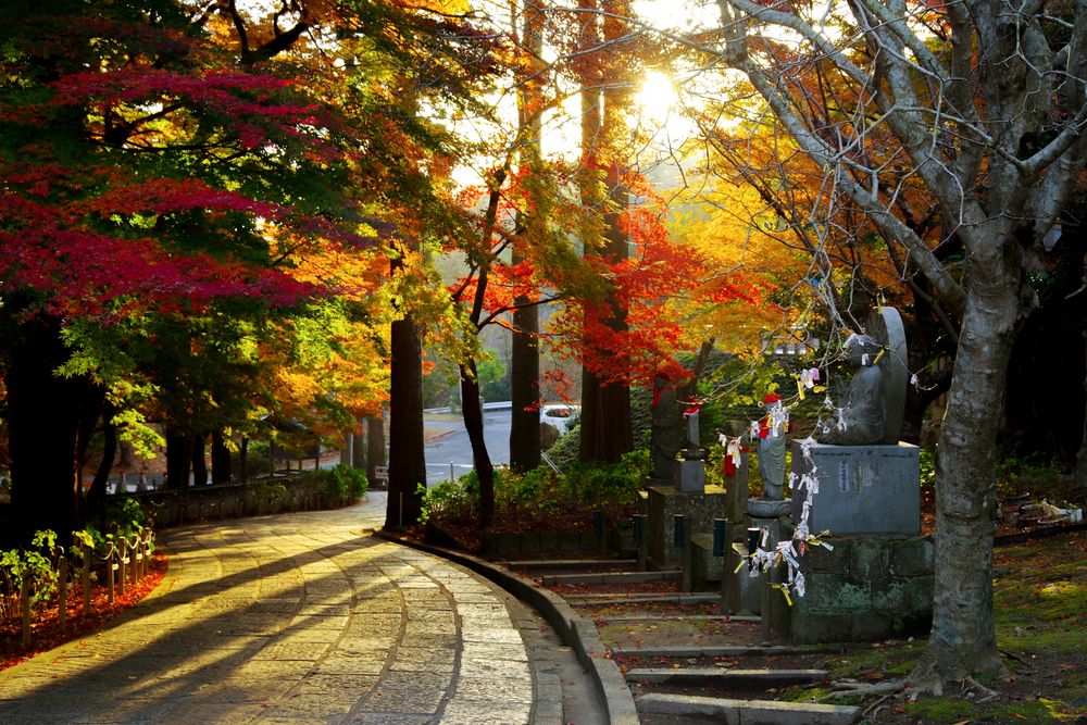 一畑薬師（一畑寺）の画像 - 2枚目