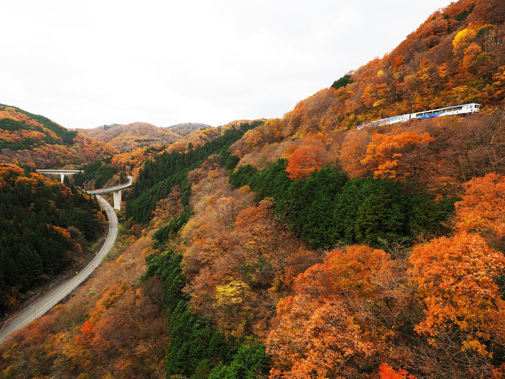 奥出雲おろちループの画像 - 4枚目