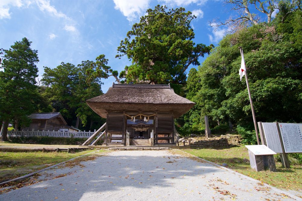玉若酢命神社の八百杉の画像 - 2枚目