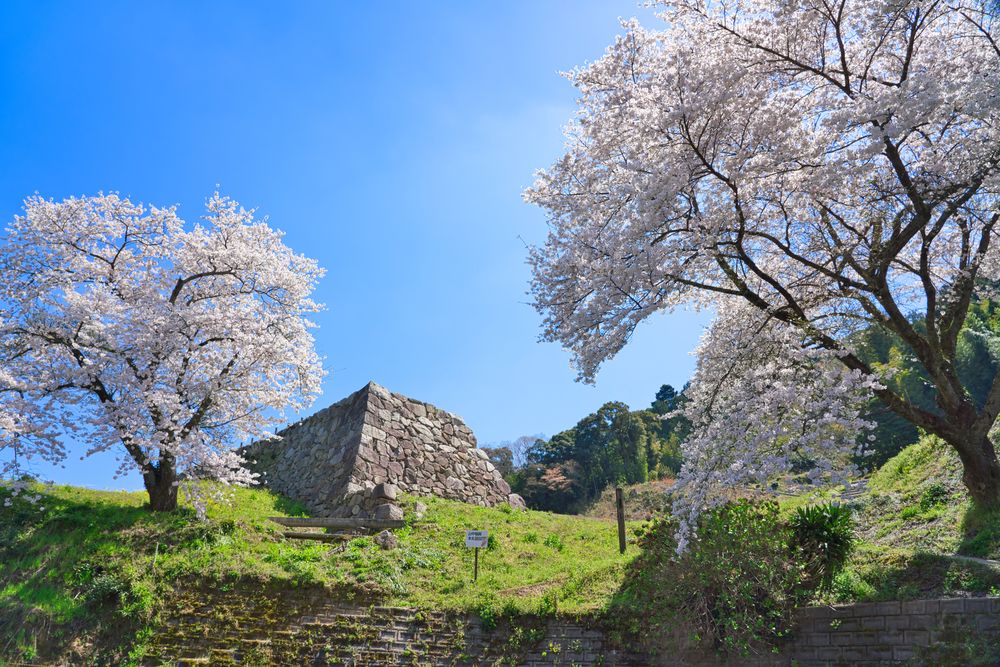月山富田城跡の画像 - 4枚目