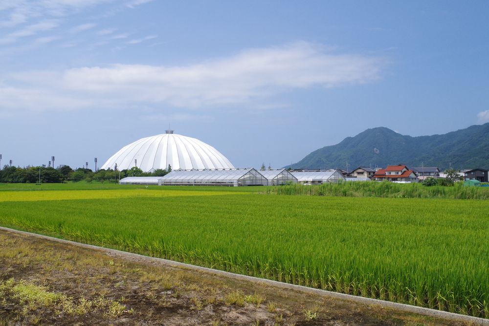 出雲ドームの画像 - 2枚目