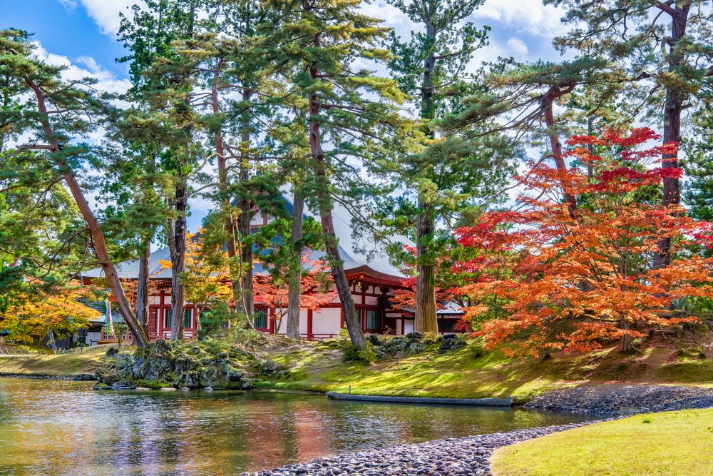 毛越寺 浄土庭園の画像 - 4枚目