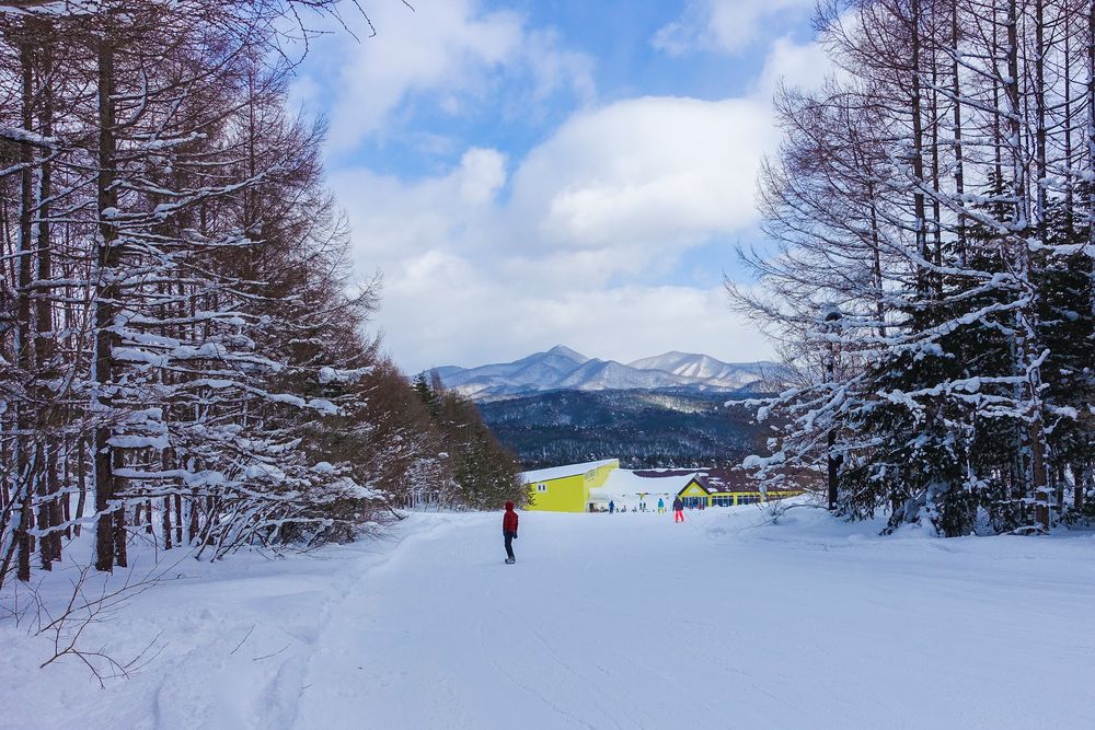 安比高原の画像 - 5枚目