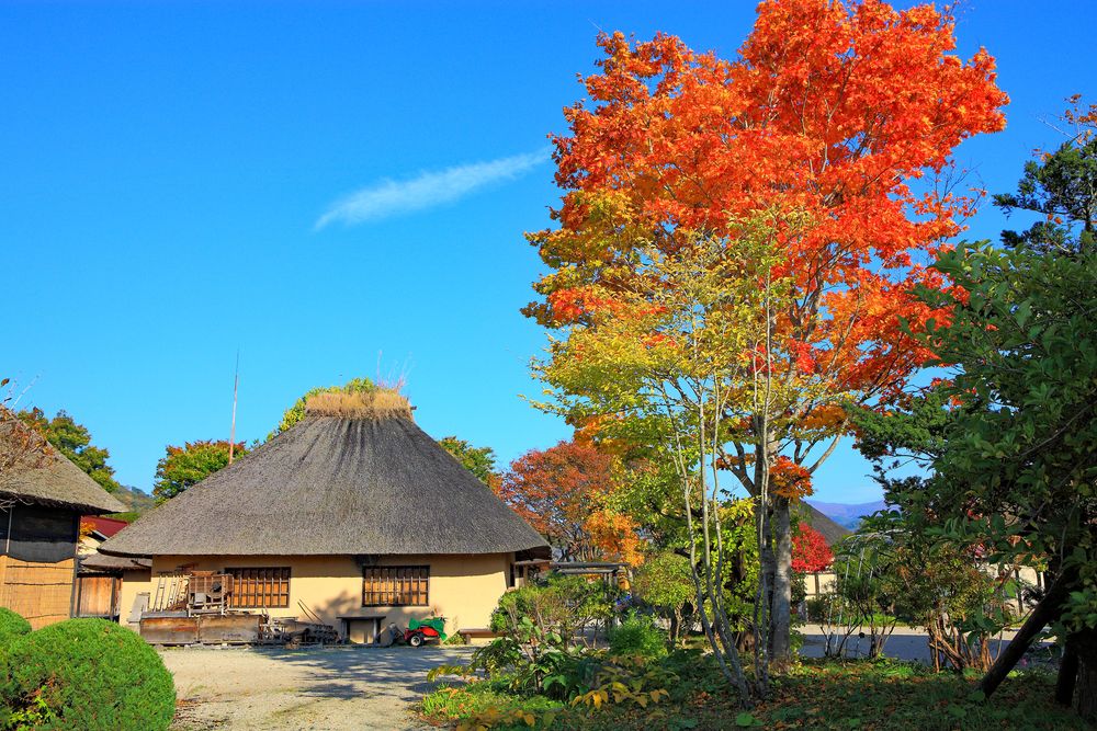 伝承園の画像 - 4枚目