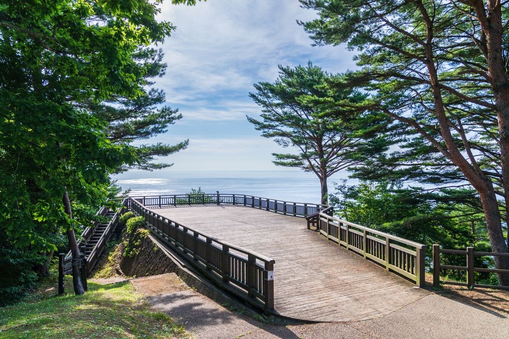 北山崎の画像 - 4枚目