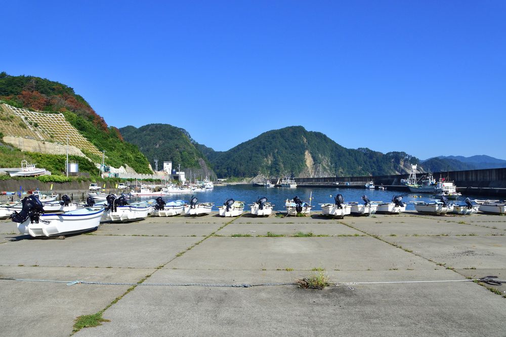 北山崎の画像 - 5枚目