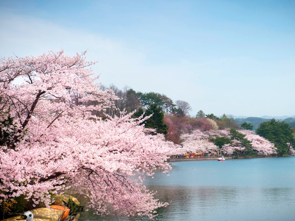高松公園の画像 - 2枚目