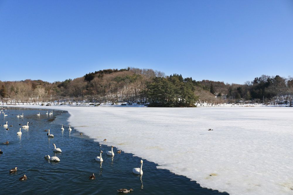 高松公園の画像 - 3枚目