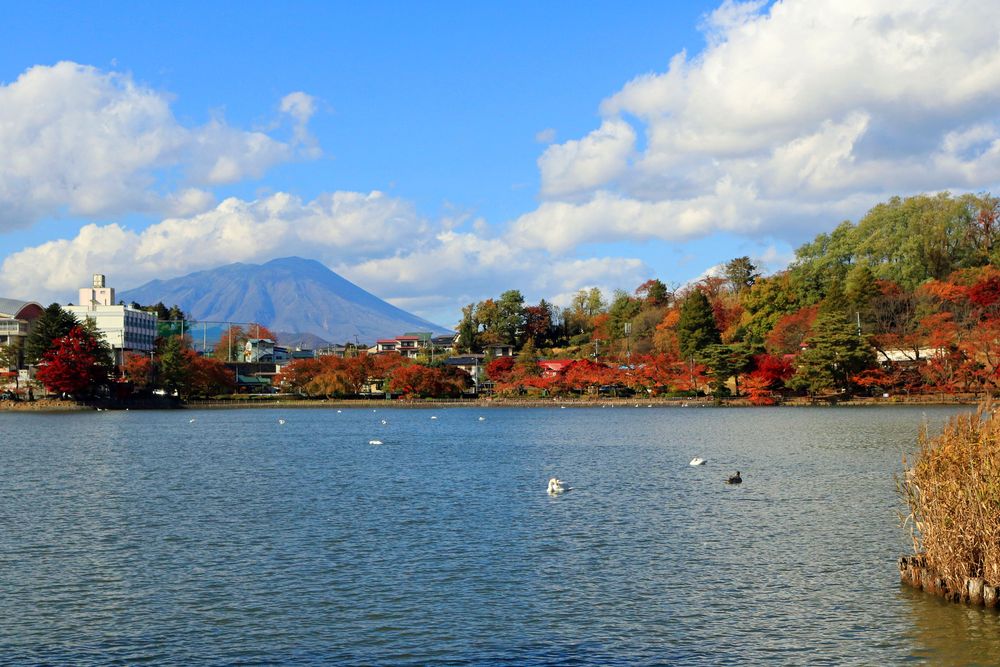 高松公園の画像 - 4枚目