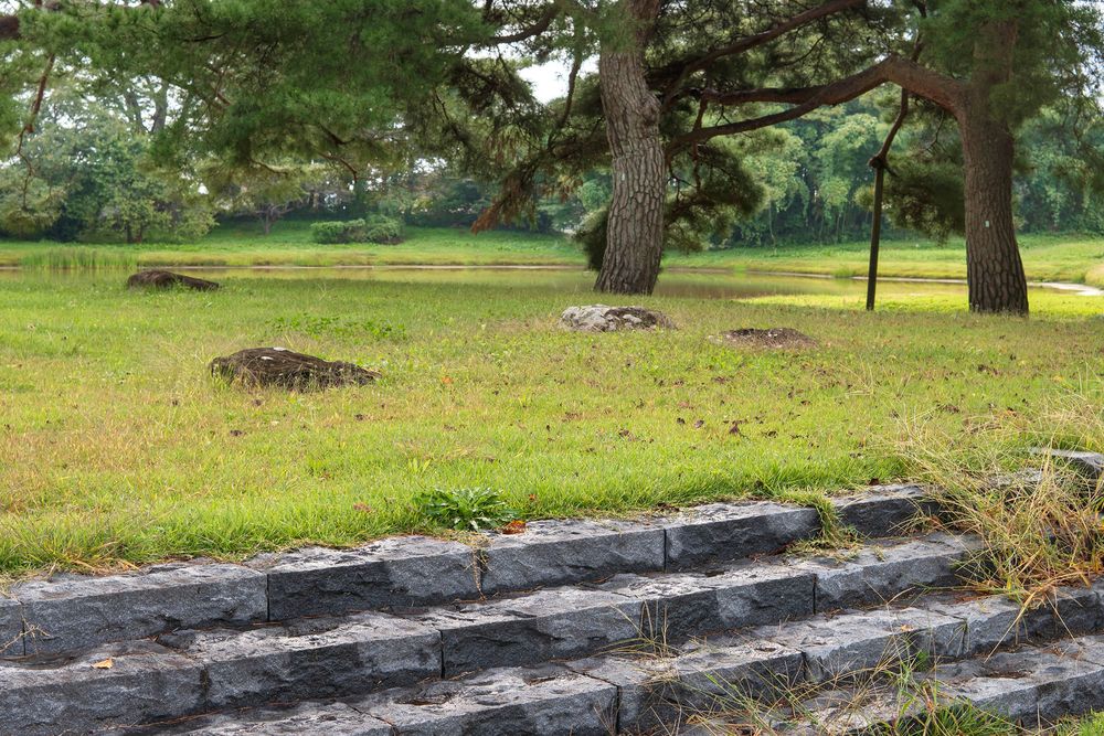 無量光院跡の画像 - 3枚目