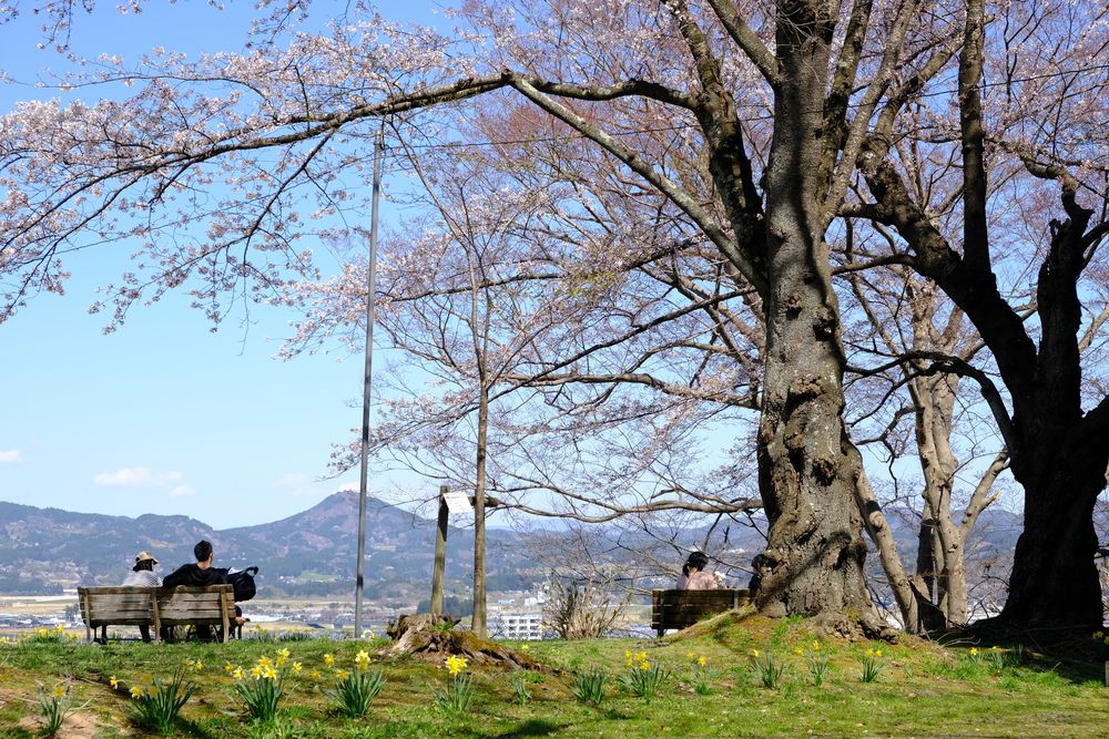 釣山公園の画像 - 3枚目