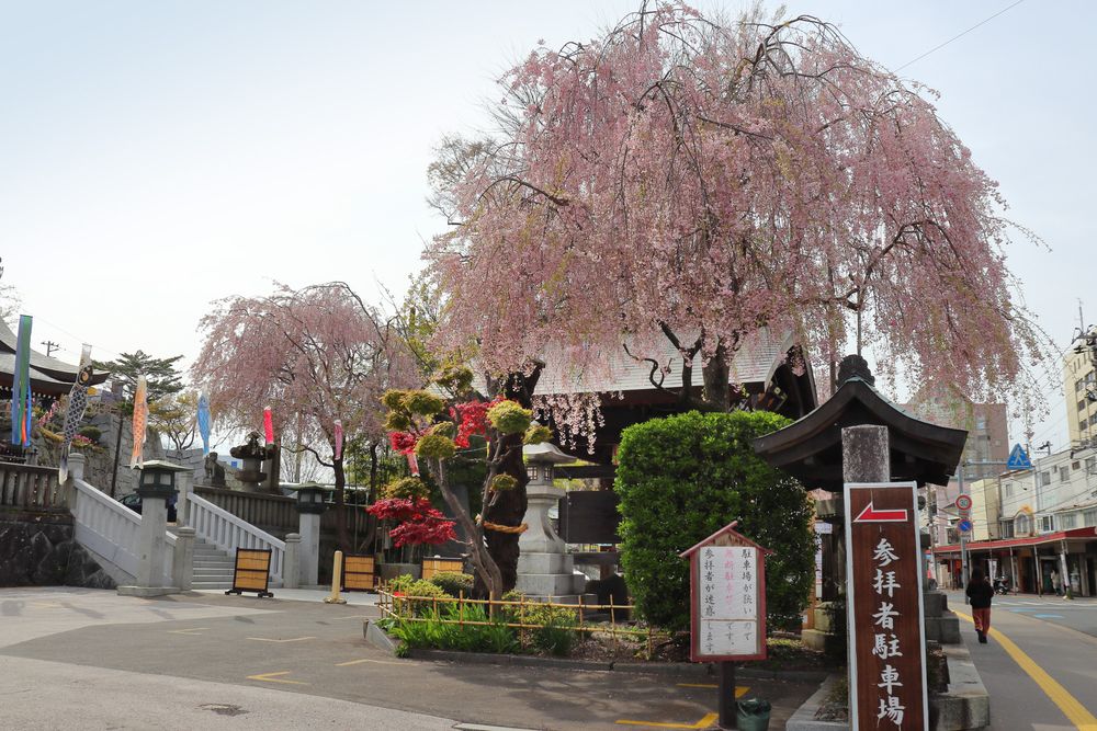 櫻山神社の画像 - 4枚目