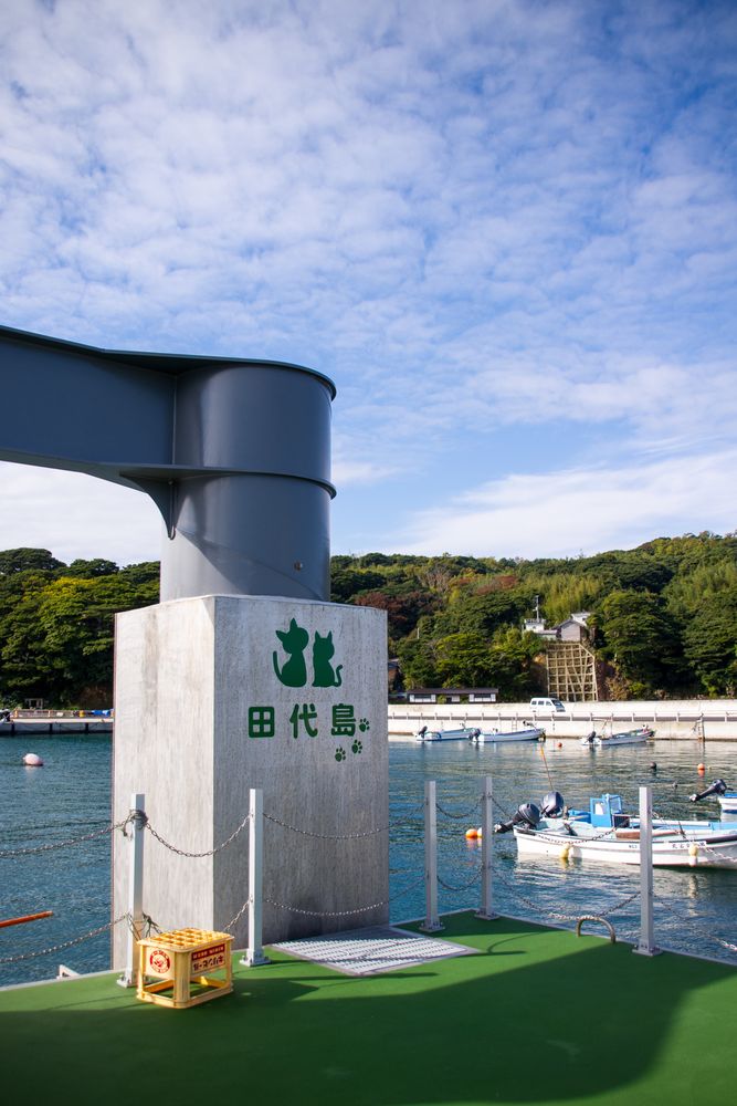 田代島の画像 - 4枚目