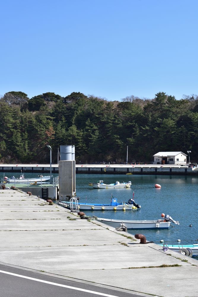 田代島の画像 - 7枚目