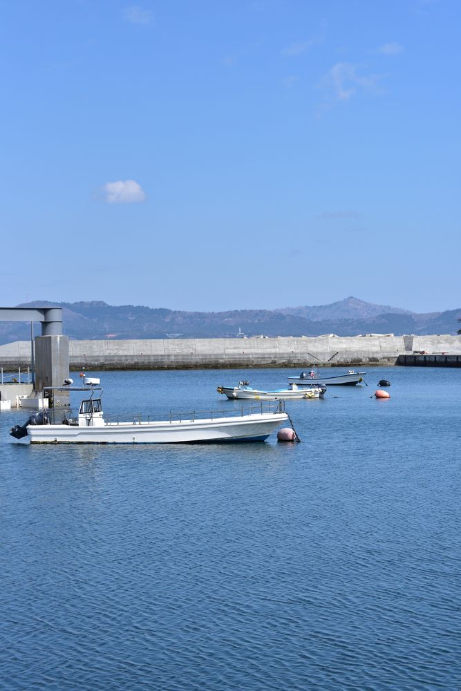 田代島の画像 - 8枚目