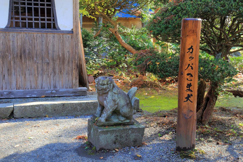 常堅寺の画像 - 5枚目