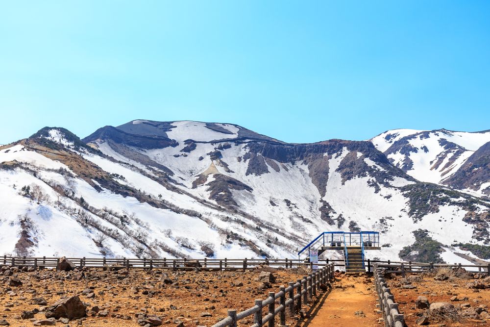 みやぎ蔵王三十六景 駒草平の画像 - 2枚目